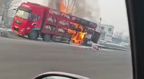 The Silence of the Pigs,