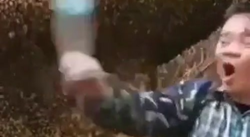 Stupid Idiot FAFO's with Bees