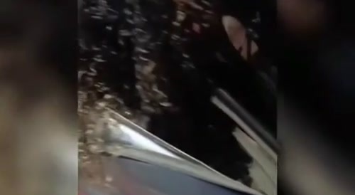 Girl Driver Kills Beautiful Couple