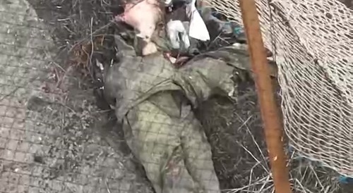 Orc Killstrikes to 4040!