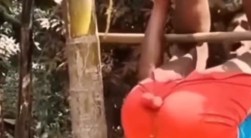 Indian Steel Testicles