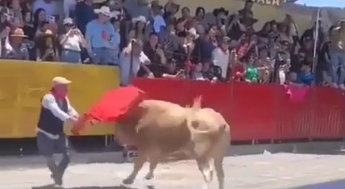 bullfighter gets some karma