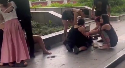 Girls fighting other girls for some reason