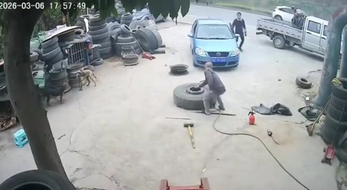 Always Bet On The Tire