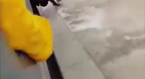 Train accident compilation