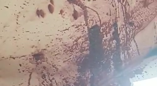 Two people murdered on balcony.