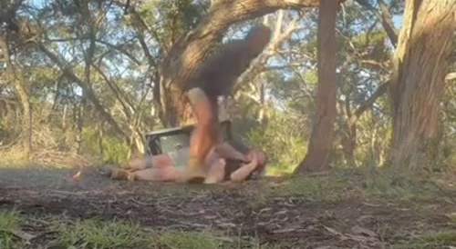 Stupid Redneck Falls Off Tree