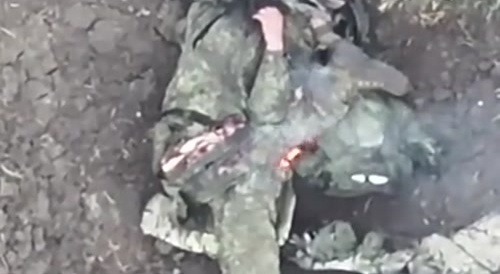 Magyar Birds, russian facial