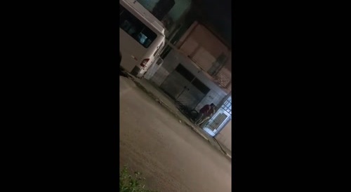 We Should Send ALL Pedos To Brazil