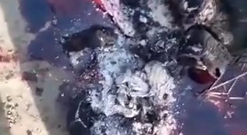 Glitter Getting Roasted