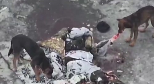 Ukrainian Puppies Eat Ruskie