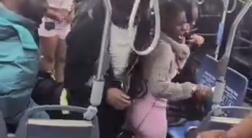 Public Transportation Ratchets Cause Mayhem During Bus Stop