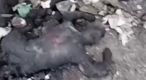 It's always nice to see what awaits you.