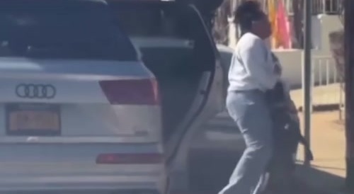 Ratchet Pitbull Attacks Ratchet Owners