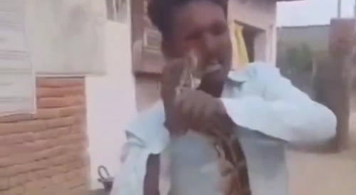 Man is bitten by snake.