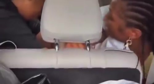 Nature Ratchets Go On a Field Trip