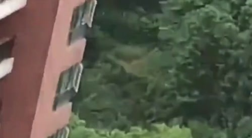 When her Husband comes home