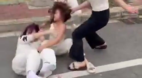 Chinese Ratchets Fight Liked Caged Tigers in Heat