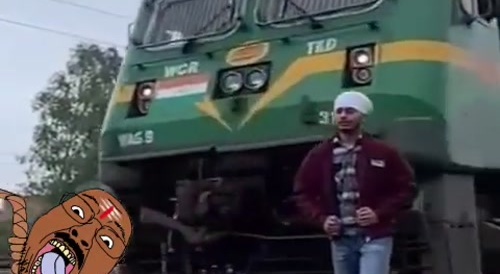 Another idiot hit by train.s