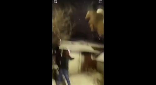 Blacks shoot power lines