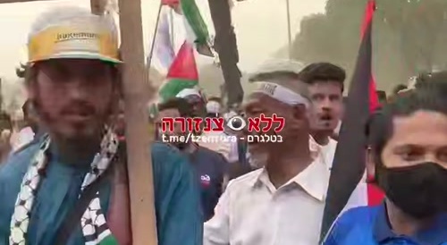 Pakistan proteste with shoes