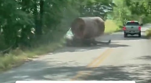 Roller slams into Car crushing the front leaving everyone in shock