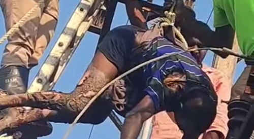 They Will Never Do That Again