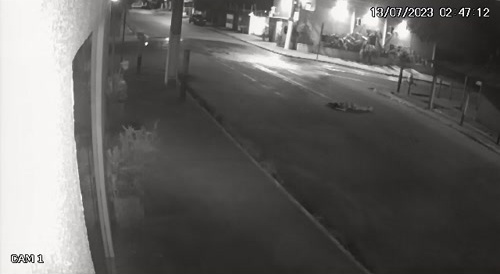 Beauty Passes Out, Gets Mowed