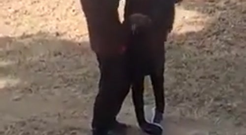 Husband Beats Wife, Stomping Her Unconscious