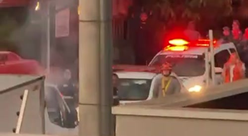 Brazilian Pole Dancer