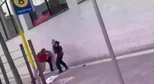 2 female cops fights one hobo