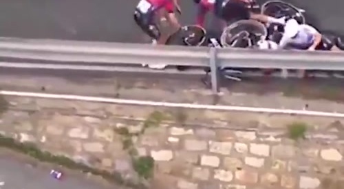 Fly, fly away, fly away my flamingo...