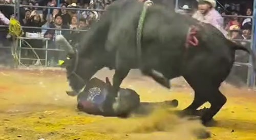 Bull Crush