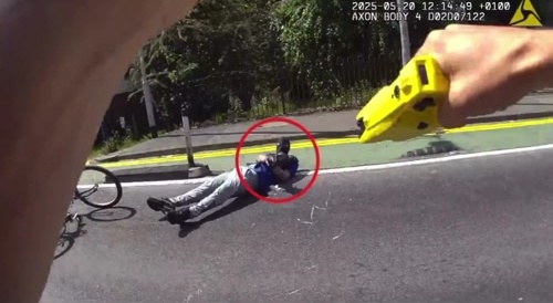 Police taser gunman