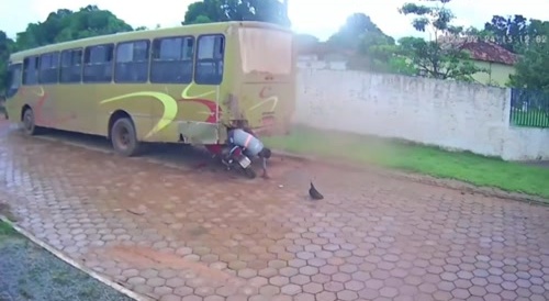 Your Feel Good Biker Video Of The Day