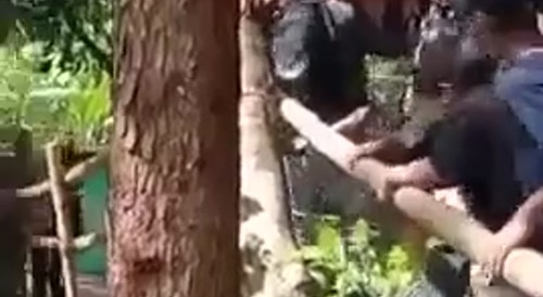 Stupid Idiots Drop a Coffin in the River - no respect for the Dead