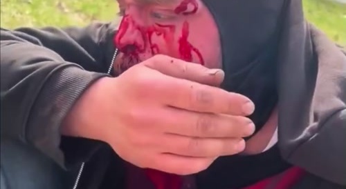 Failed To Steal The Lawnmower