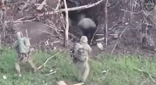 failed attempt to kill captors