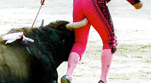 bullfighter gets gored