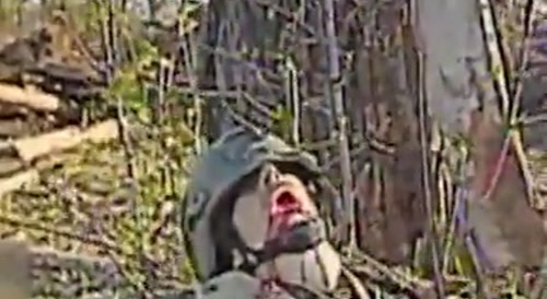 Closing in on 10k "worms"