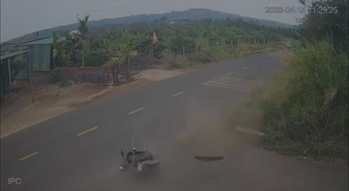 I Fought the Law....