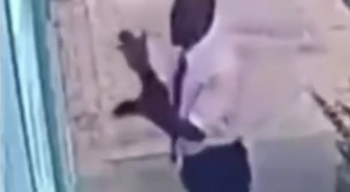 Dog snatches Bible from pastor.