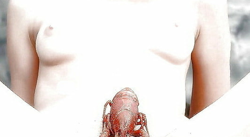 lobster in pussy
