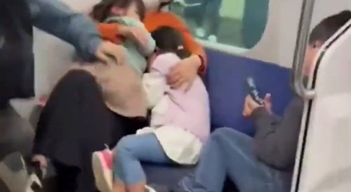 Japanese train brawl