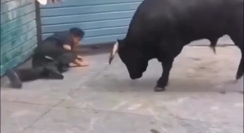 So Much Better Than The Drunk Tank!