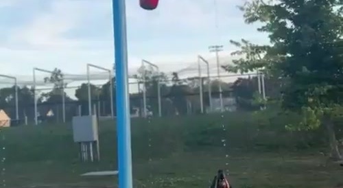 Dog enjoying at some park