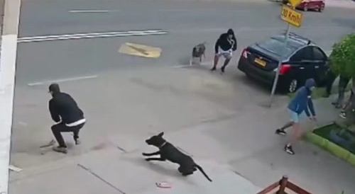 Dramatic Shootout In Antofagasta Chile