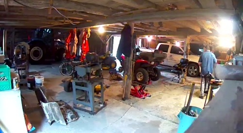 Another Squirrel Attack