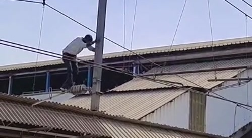 When Will They Ever Learn...