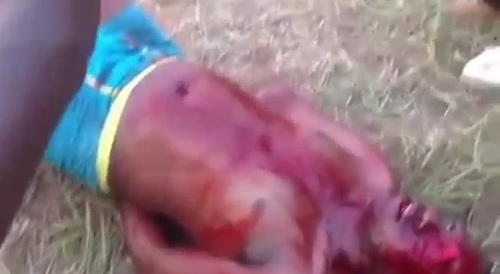 Some kind of cult ritual idk